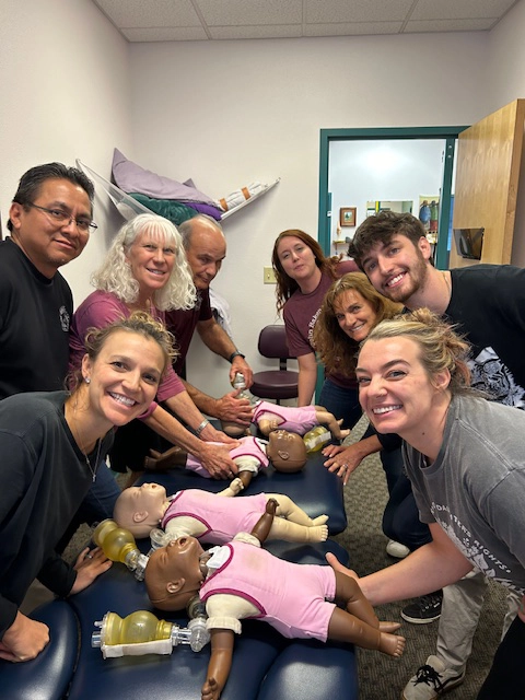 Hands on Physical Therapy collage